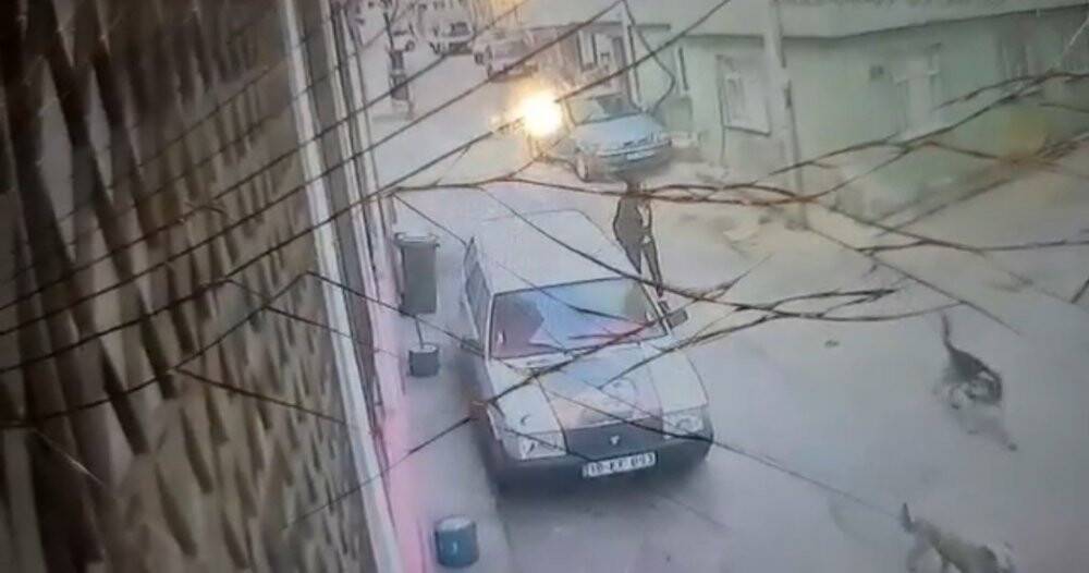 Bursa’da yolda yürüyen genç kız köpeğin saldırısına uğradı