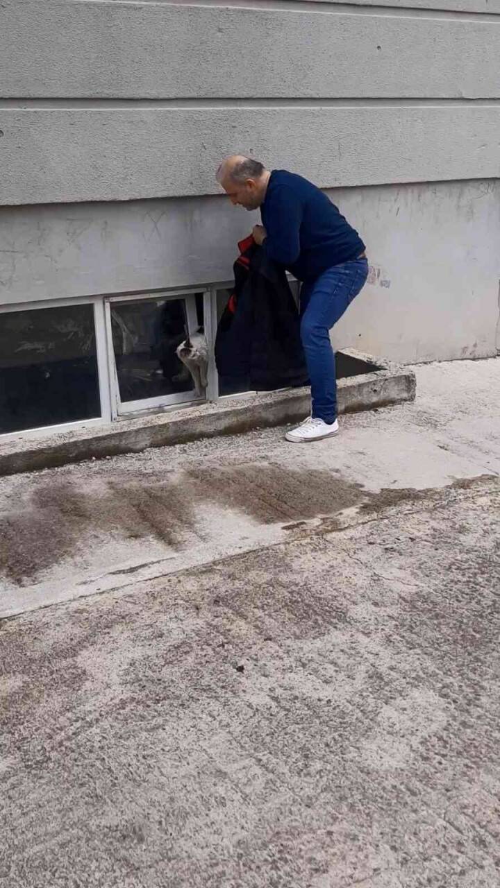 Pencereye sıkışan kedi kurtarıldı