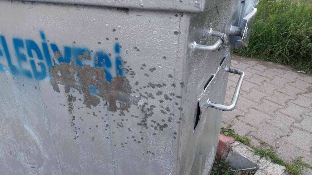 Çöp konteynerinin arkasına sığınarak ölümden kurtuldu