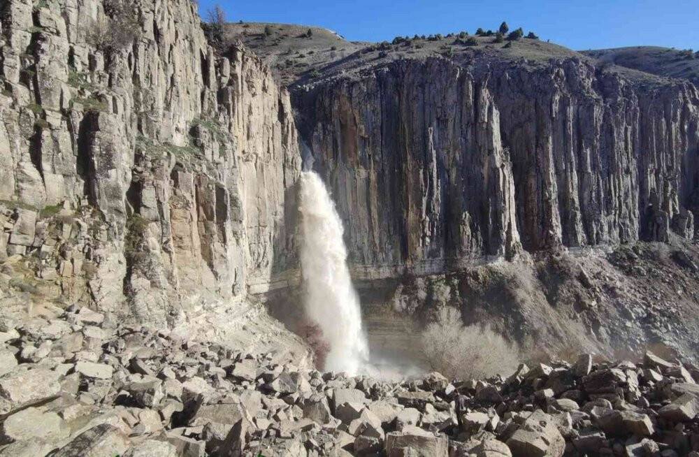 Heybeti ve güzelliğiyle ilgi odağı oldu