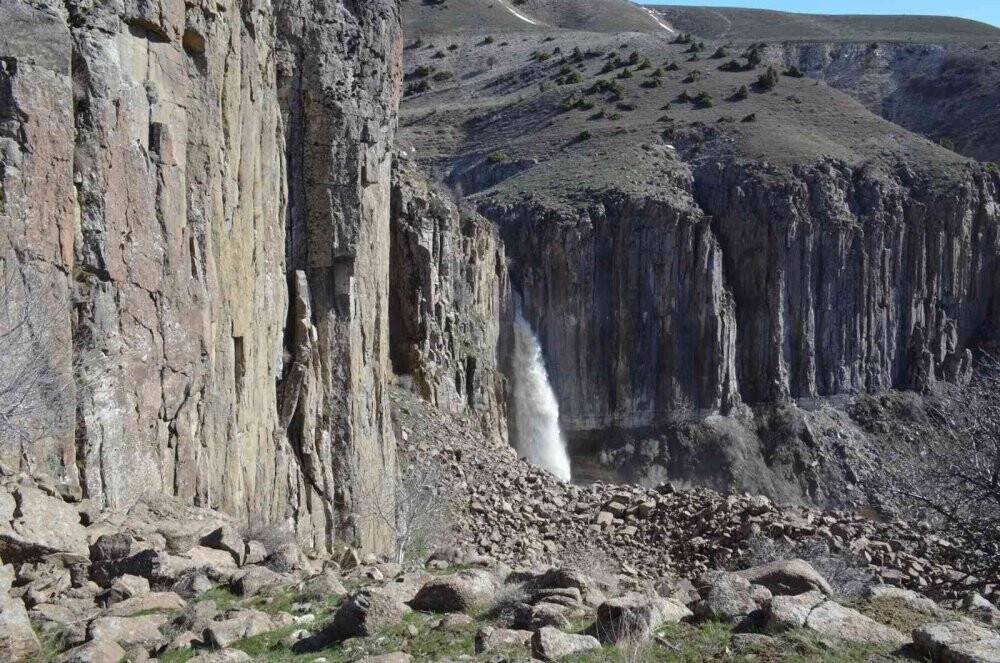 Heybeti ve güzelliğiyle ilgi odağı oldu
