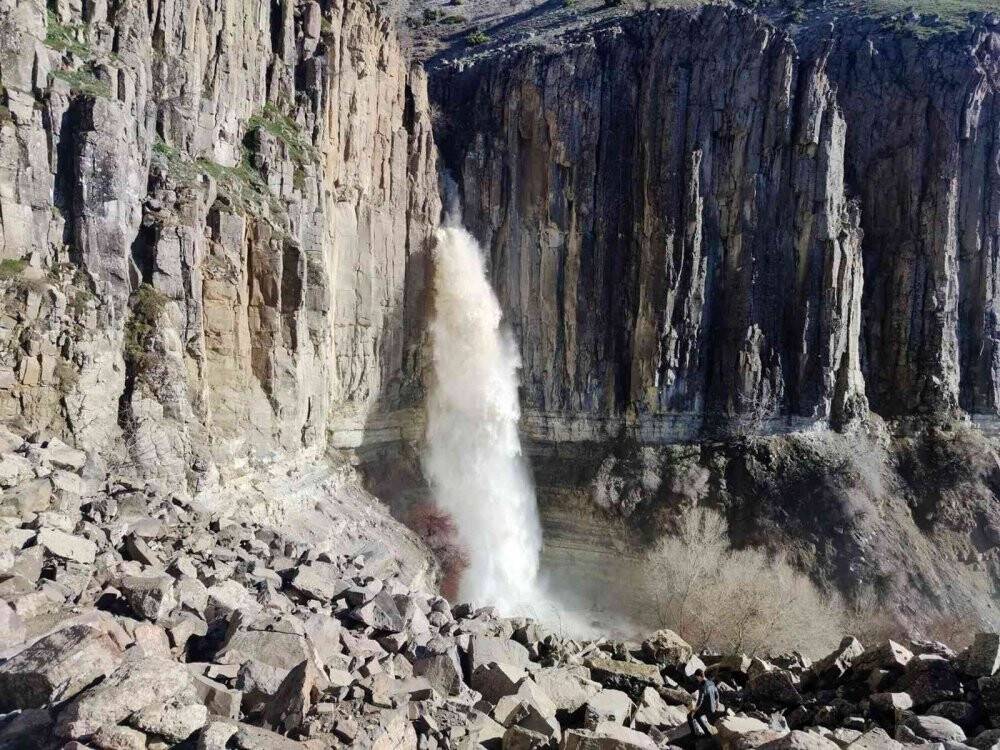 Heybeti ve güzelliğiyle ilgi odağı oldu
