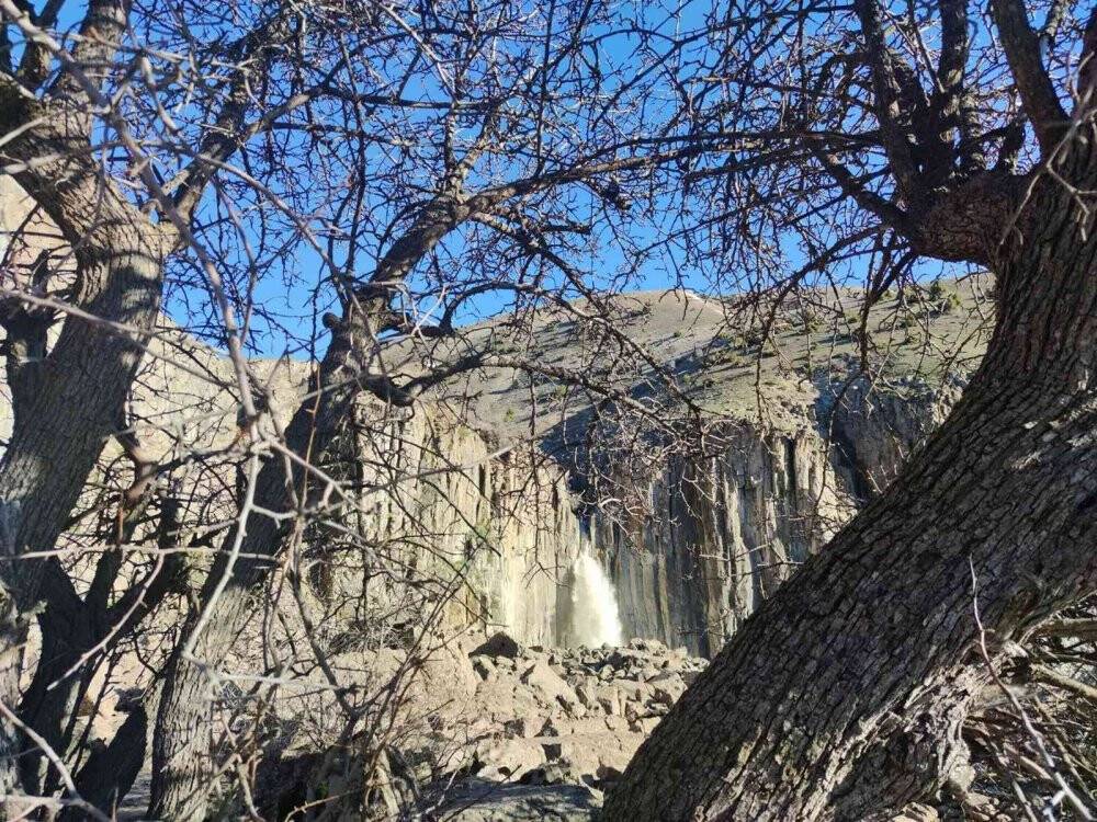 Heybeti ve güzelliğiyle ilgi odağı oldu