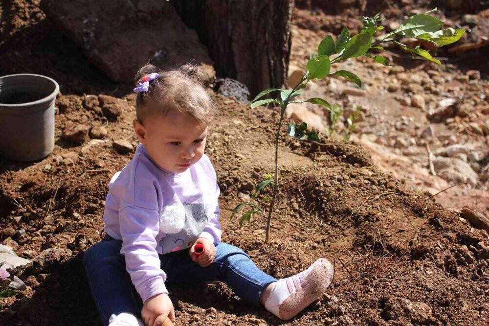 Polisler aileleri ile yanan alanlara fidan diktiler