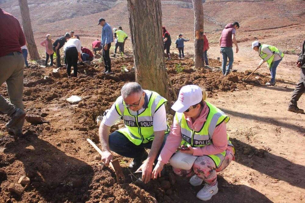 Polisler aileleri ile yanan alanlara fidan diktiler