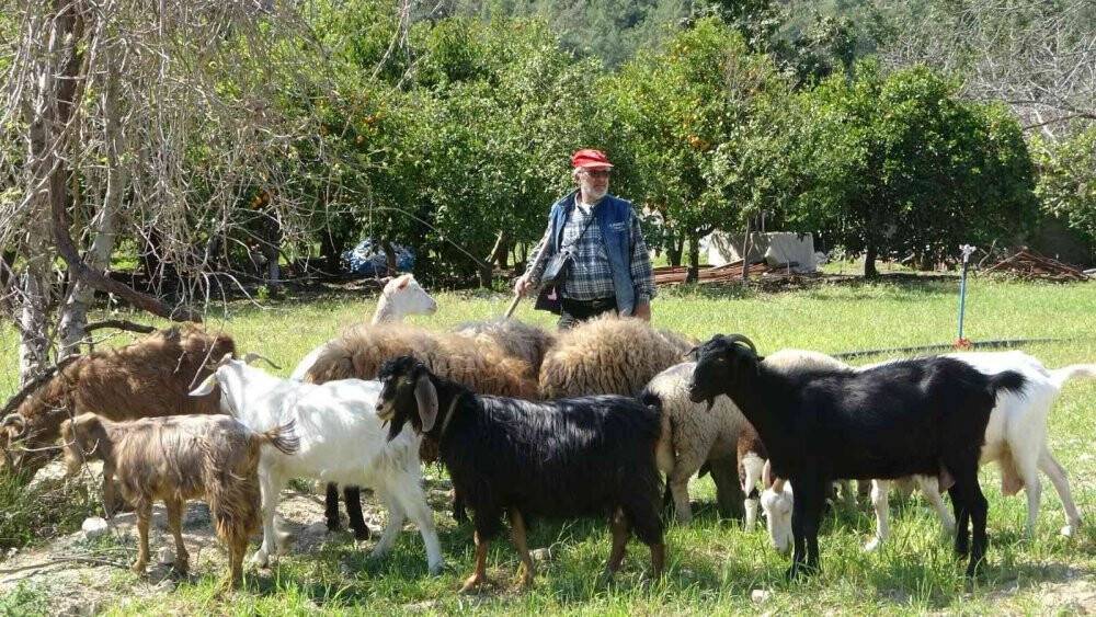 Yaşlı çifti 81 bin TL dolandırdılar