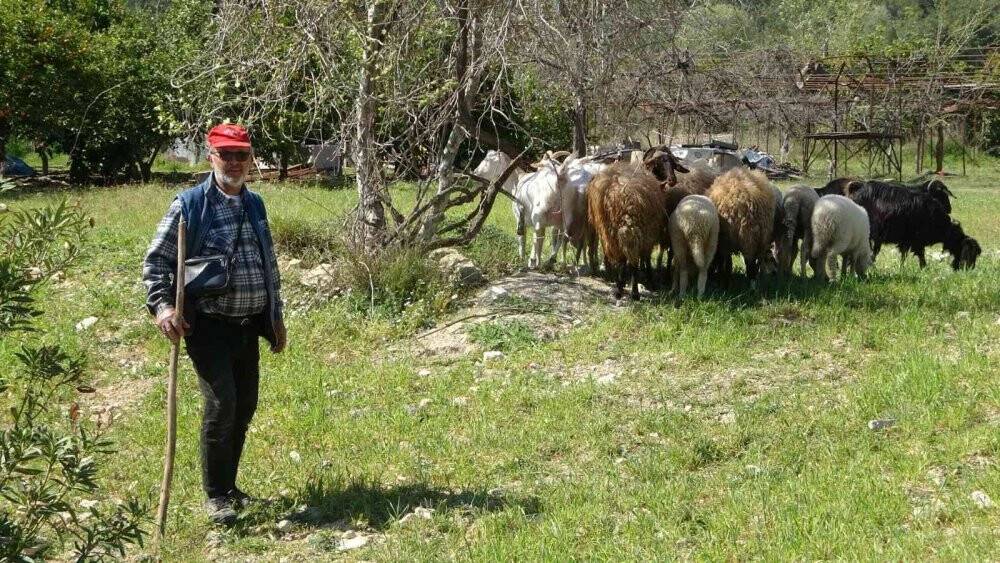 Yaşlı çifti 81 bin TL dolandırdılar