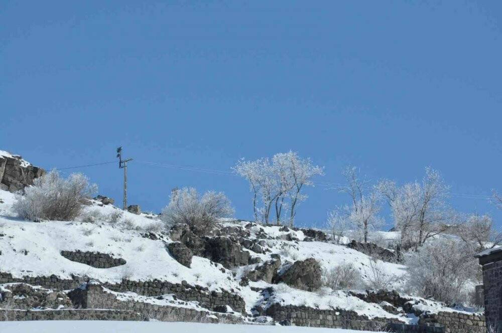 Kars eksi 13 ile dondu, ağaçlar kırağı tuttu