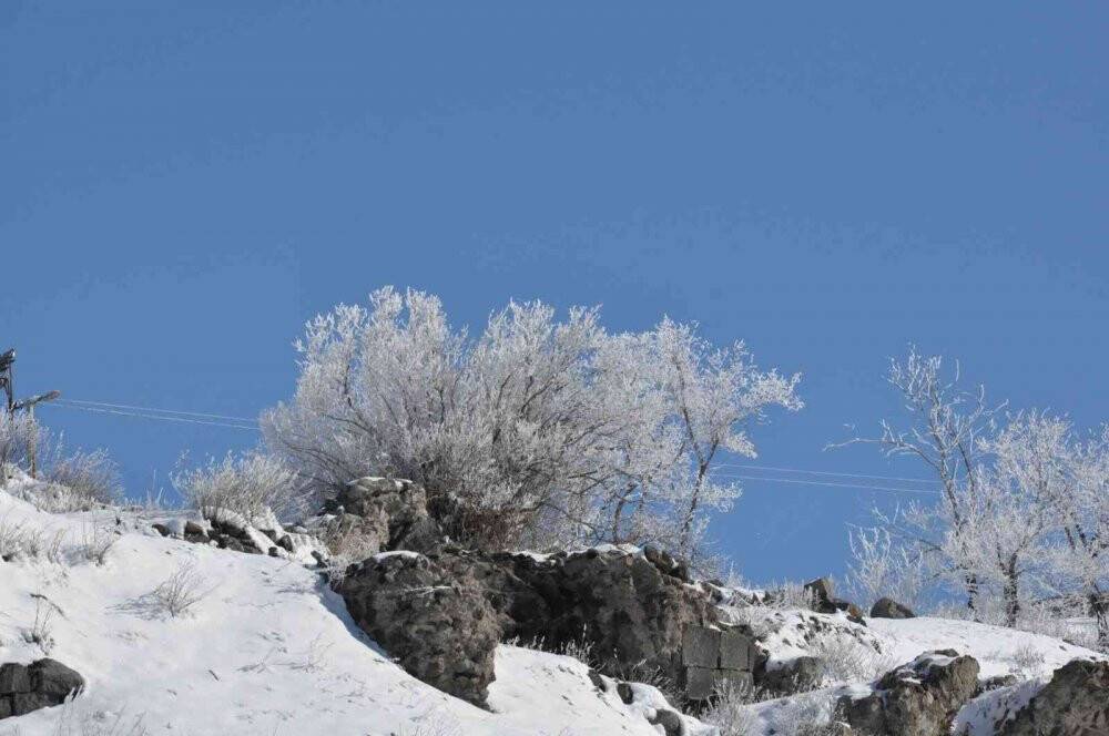 Kars eksi 13 ile dondu, ağaçlar kırağı tuttu