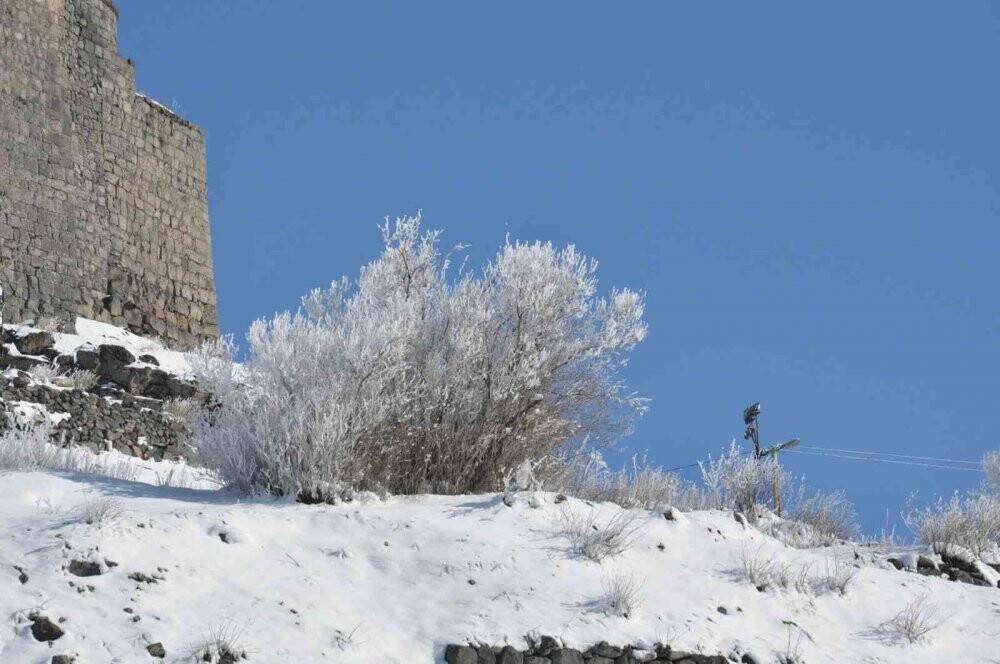Kars eksi 13 ile dondu, ağaçlar kırağı tuttu