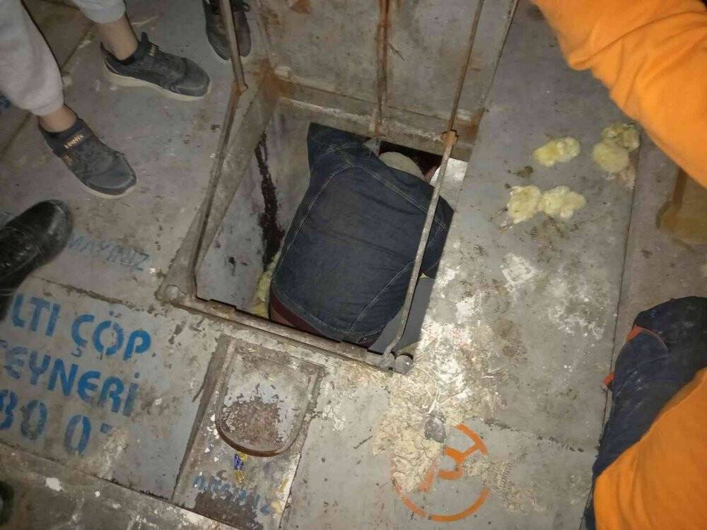 Bir kısmı ölmüş 200’ye yakın civciv çöpe atılmış halde bulundu