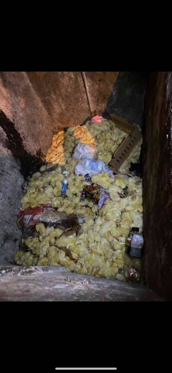 Bir kısmı ölmüş 200’ye yakın civciv çöpe atılmış halde bulundu