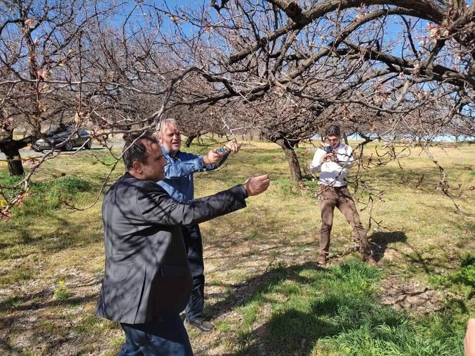 Elazığ’da zirai don nedeniyle hasar tespit çalışmaları başladı