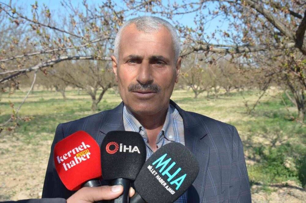 Malatya’da kayısıyı don vurdu