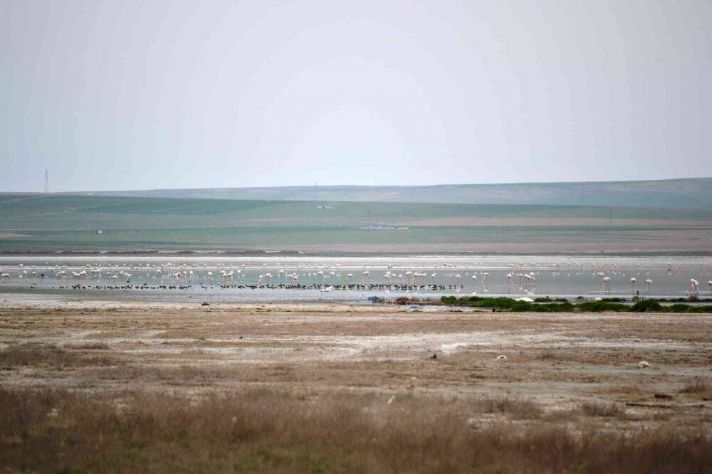 Düden Gölü’ne flamingolar gelmeye başladı