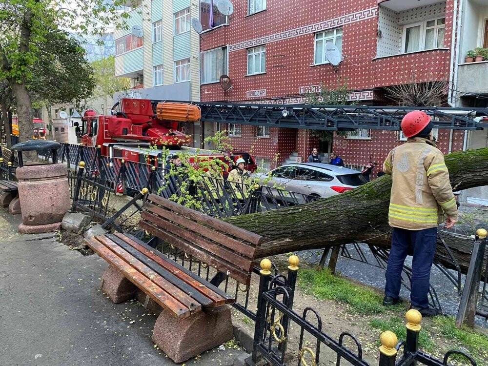 Esenler’de yola devrilen ağaç korku dolu anlar yaşattı