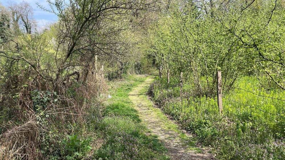 Babasının mezarını ziyaret etti vuruldu