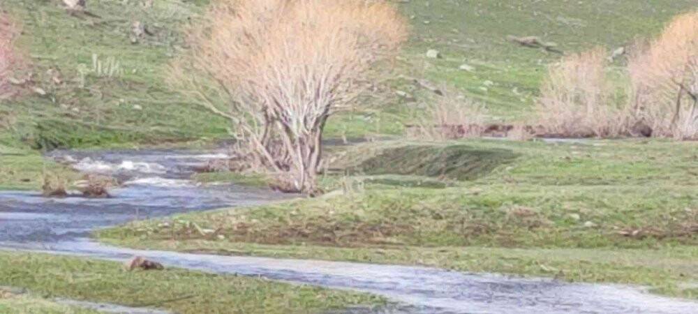 Kuru dere suya kavuştu