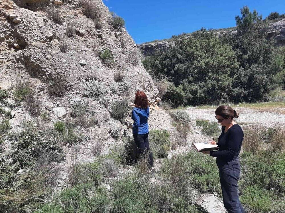 Tüylü çan çiçeğinin korunması için çalışmalar sürüyor