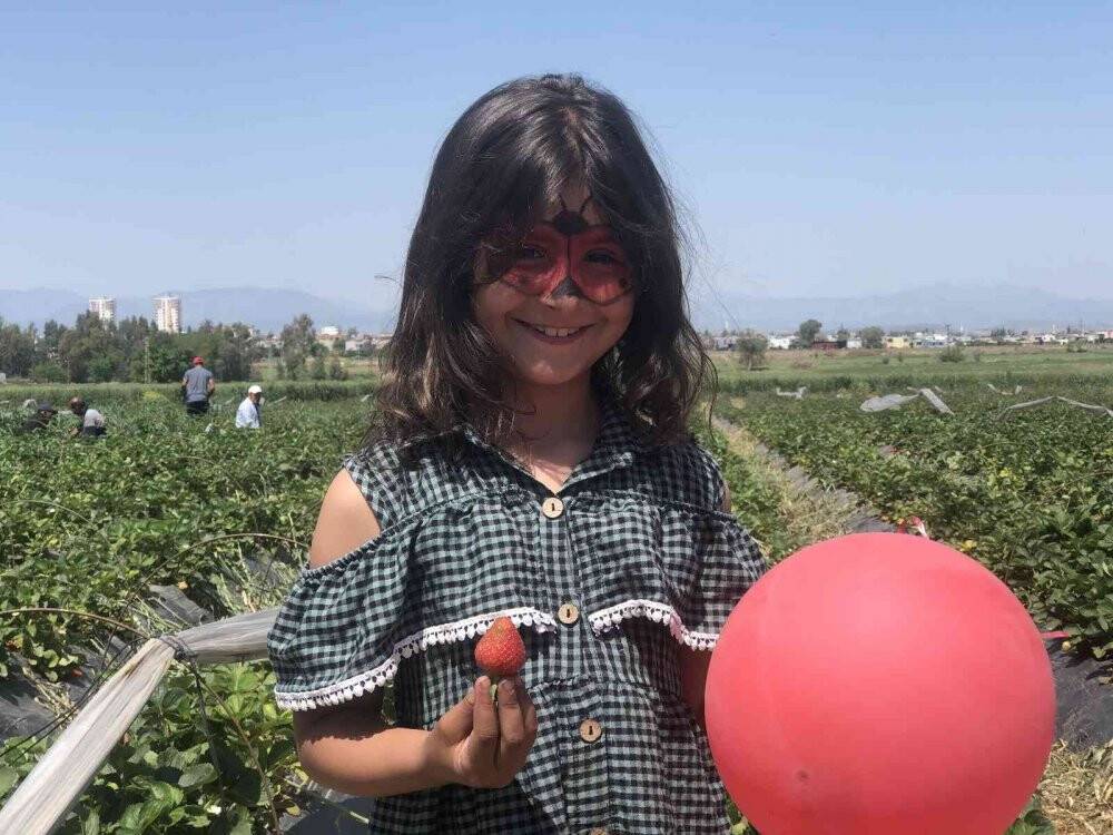 Çilek tarlasında çocuklarla hasat şenliği