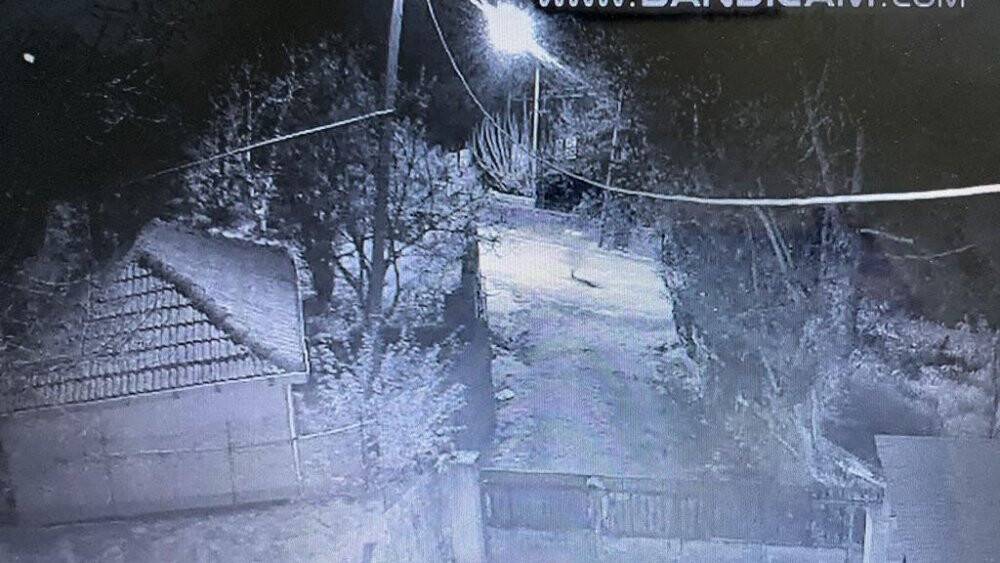 Çocuklar kaçtı, köpekler kovaladı