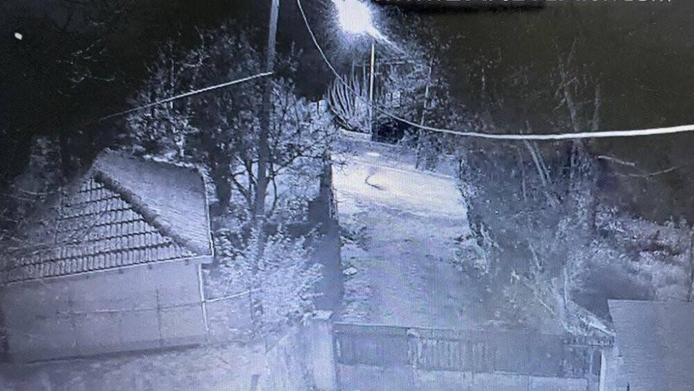 Çocuklar kaçtı, köpekler kovaladı