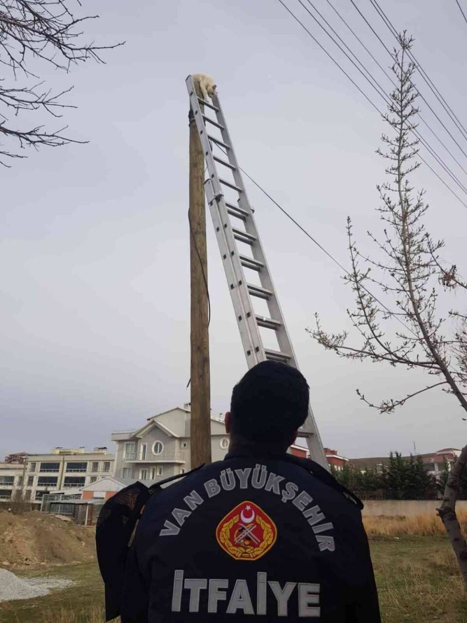 Direkte mahsur kalan kedi kurtarıldı