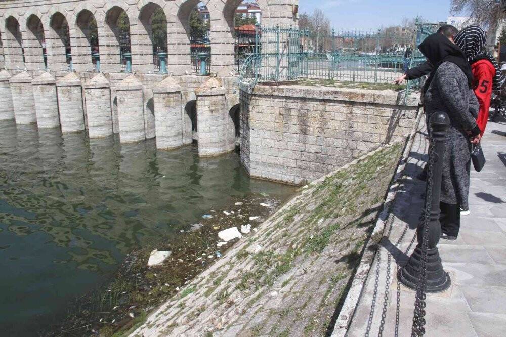 Beyşehir Gölü’nde ölen balıklar kıyıya vurdu