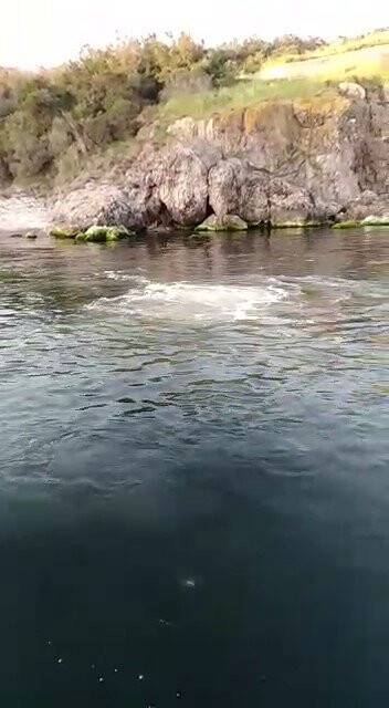 Heybeliada’da derin deniz deşarj hattı patladı, lağım suyu deniz yüzeyine çıktı