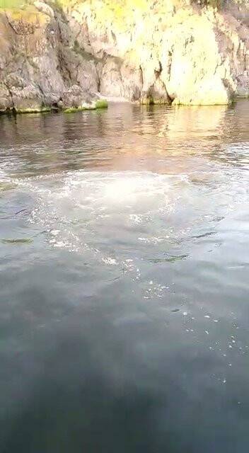 Heybeliada’da derin deniz deşarj hattı patladı, lağım suyu deniz yüzeyine çıktı