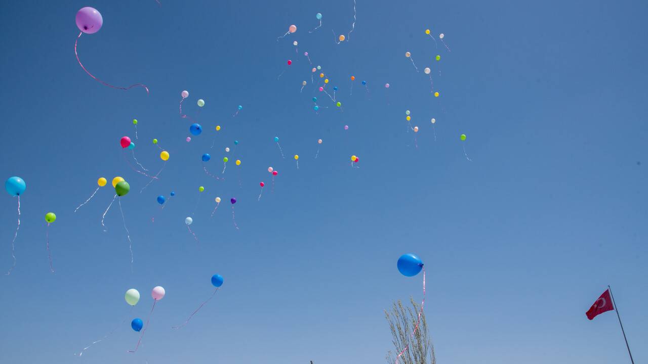 aa-20220427-27688822-27688820-primer-immun-yetmezligine-dikkat-cekmek-renkli-balonlar-gokyuzune-birakildi.jpg