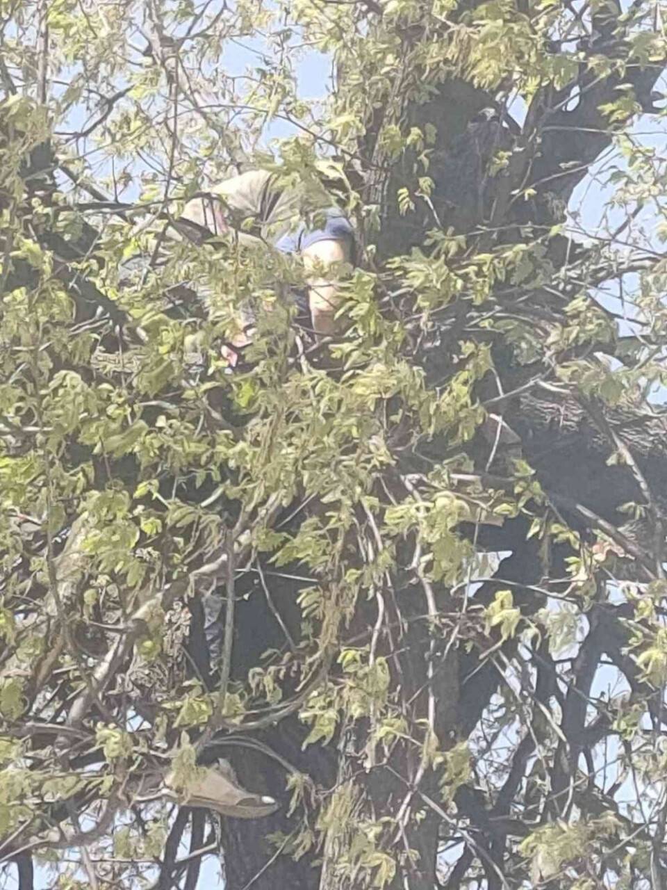 Uğuruna cinayet bile işlenen yolu açmak isterken öldü