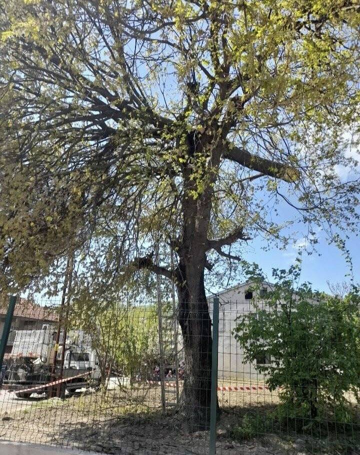 Uğuruna cinayet bile işlenen yolu açmak isterken öldü