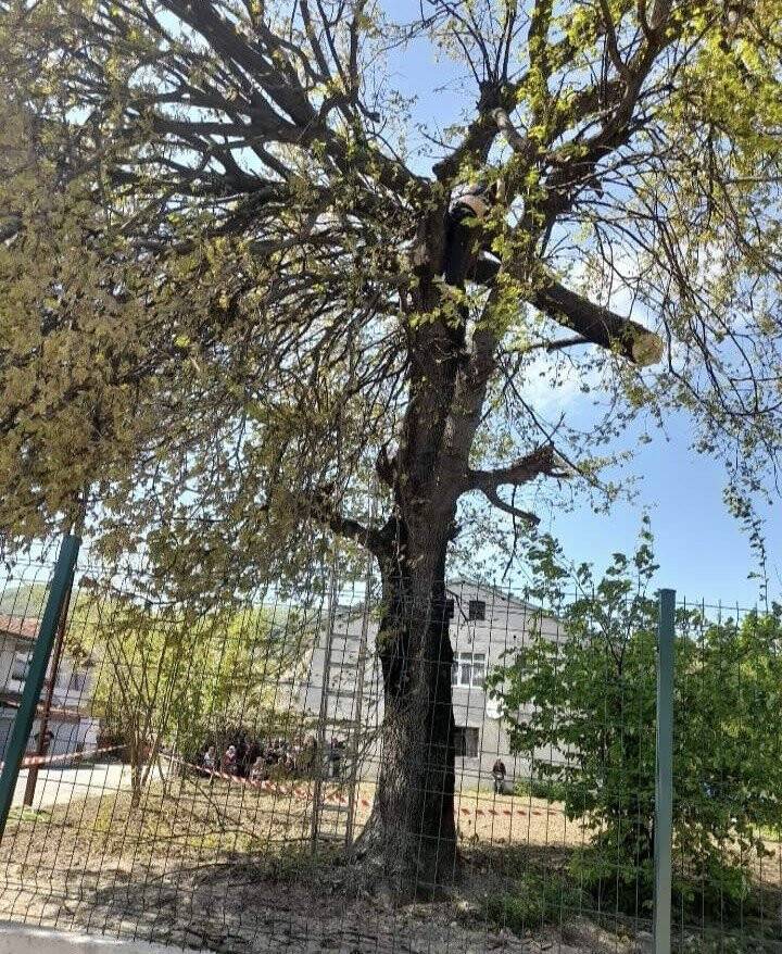 Uğuruna cinayet bile işlenen yolu açmak isterken öldü