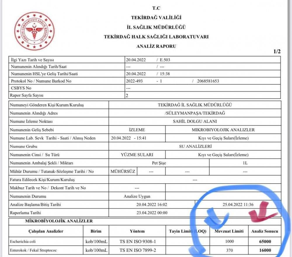 Marmara Denizi’nde korkutan sonuçlar: TESKİ, denizi 65 kat kirletiyor