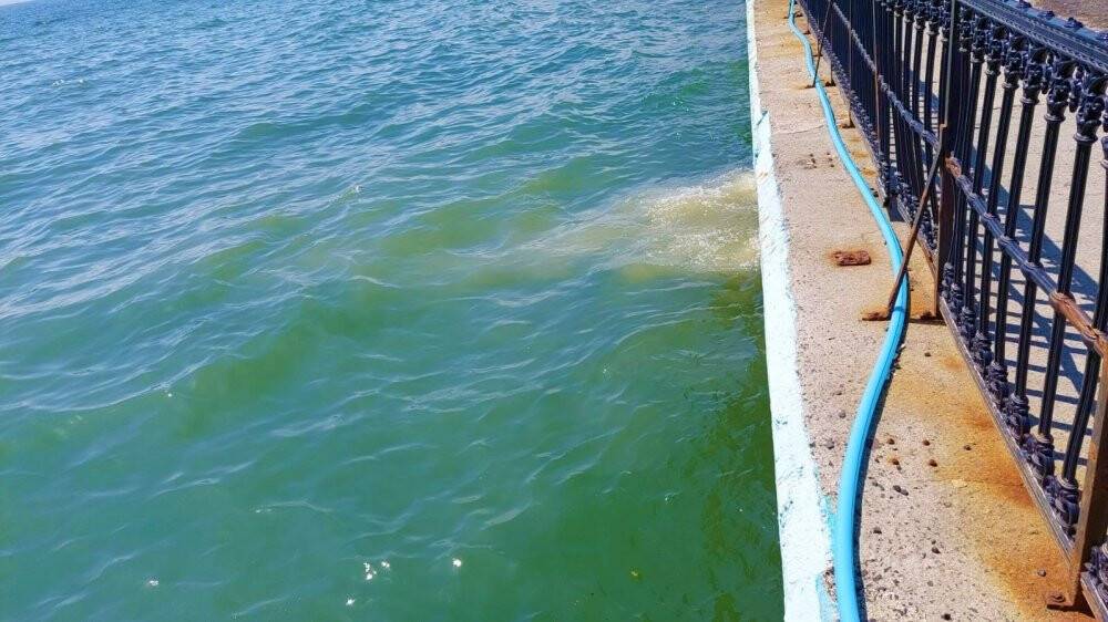 Marmara Denizi’nde korkutan sonuçlar: TESKİ, denizi 65 kat kirletiyor