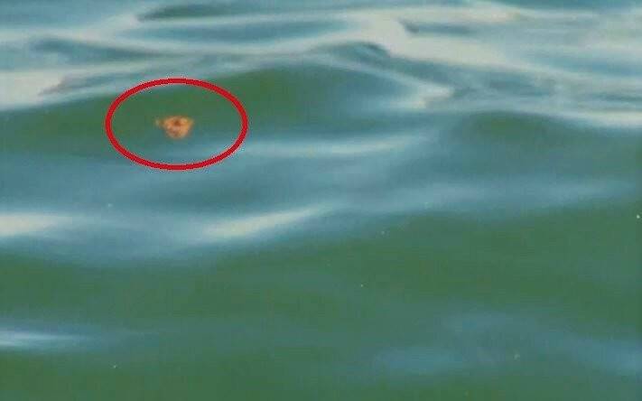 Marmara Denizi’nde korkutan sonuçlar: TESKİ, denizi 65 kat kirletiyor