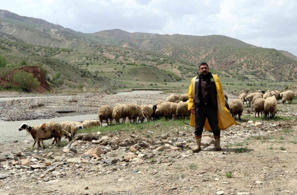 Sesini duyurabilmek için koyunu sırtında akarsudan geçirdi