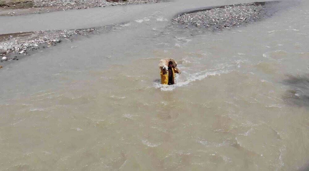 Sesini duyurabilmek için koyunu sırtında akarsudan geçirdi