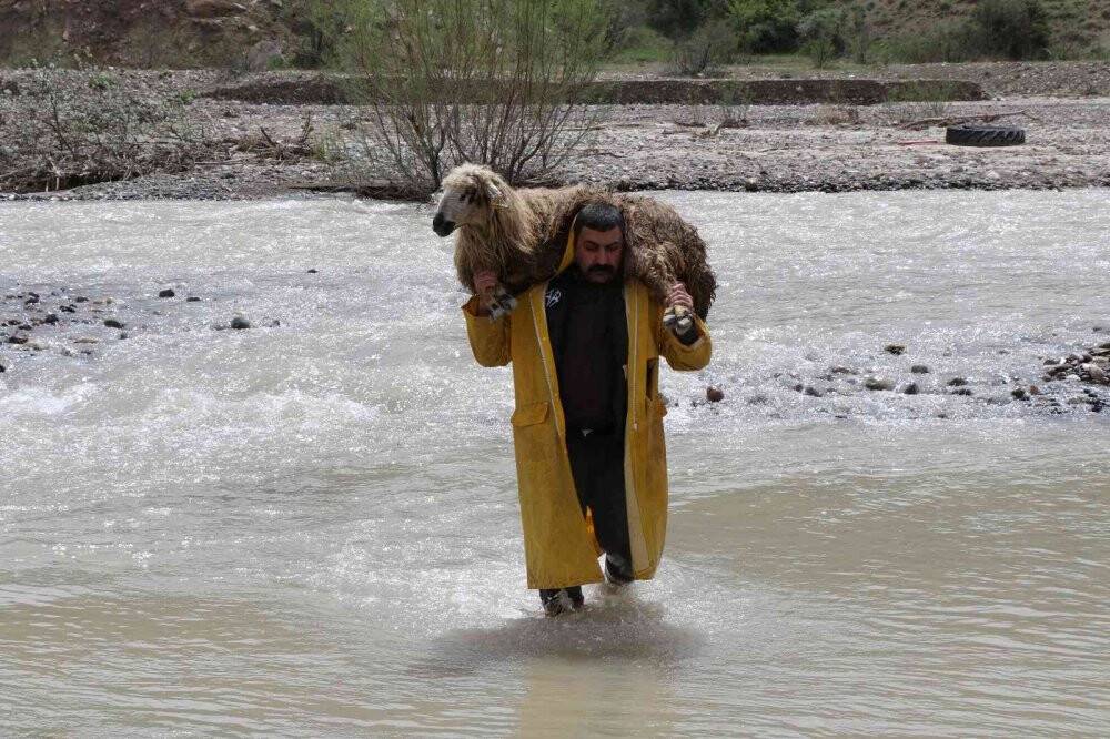 Sesini duyurabilmek için koyunu sırtında akarsudan geçirdi