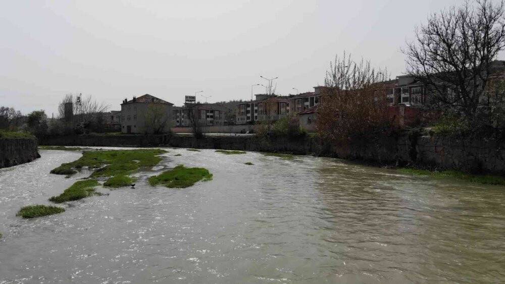 Bu çay görenleri şaşkına çeviriyor
