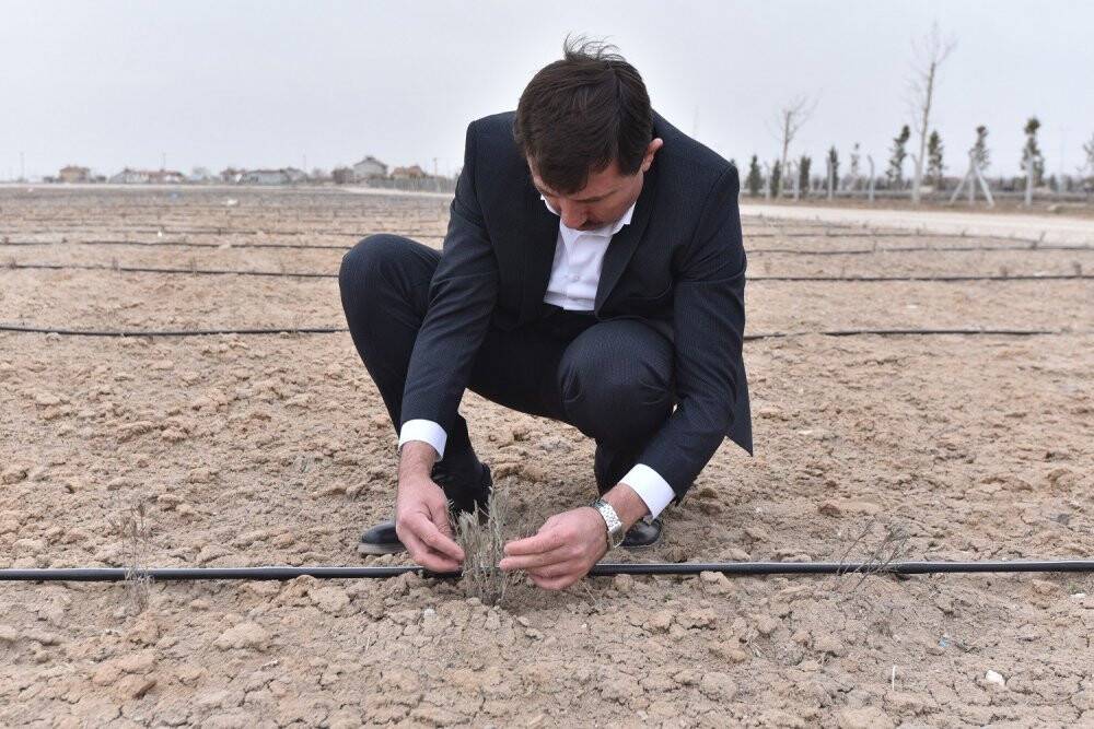 Karatay’daki lavanta bahçeleri 400 bin metrekare büyüklüğe ulaştı