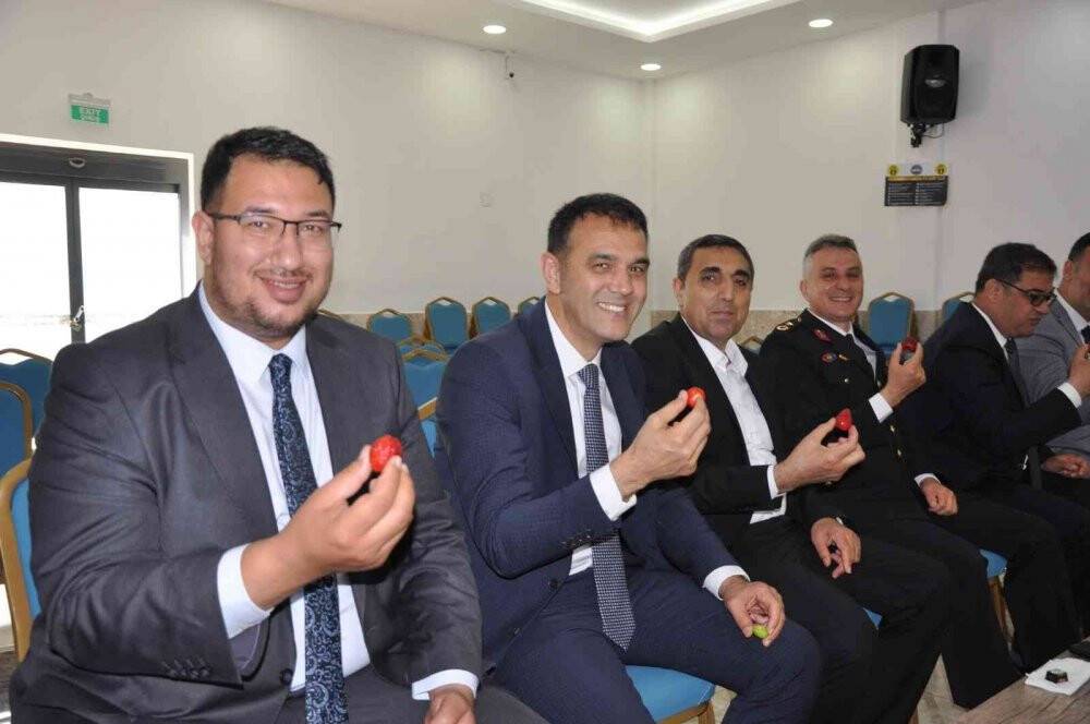 Silifke’de bayramlaşmada şeker yerine çilek ve erik ikram edildi