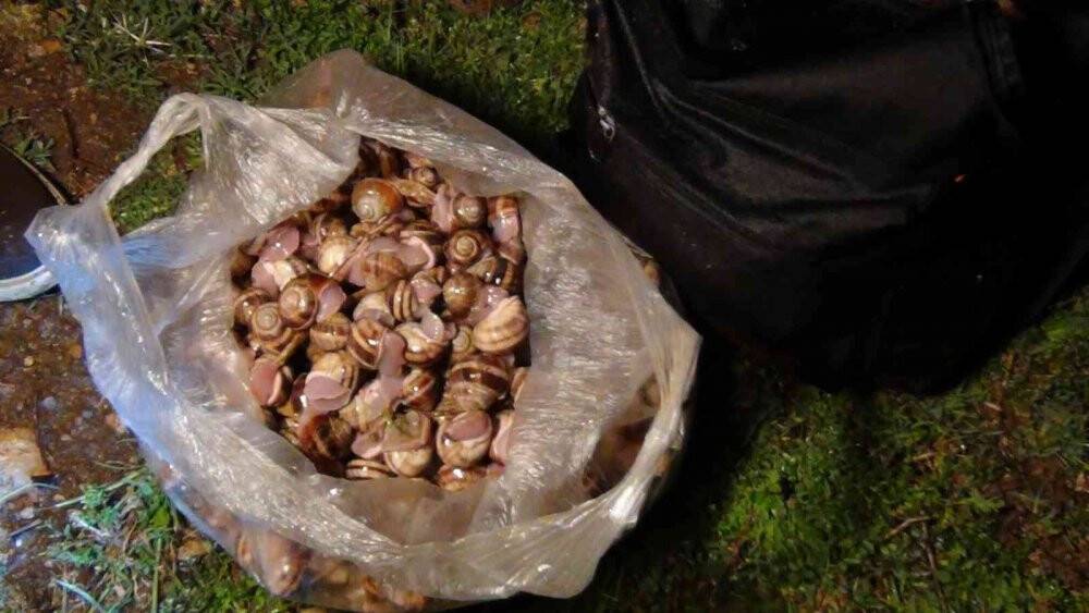 Gece dağda yağmurda onun peşindeler