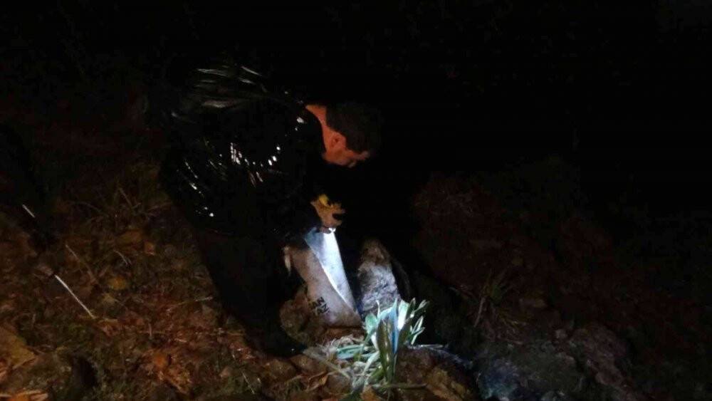 Gece dağda yağmurda onun peşindeler