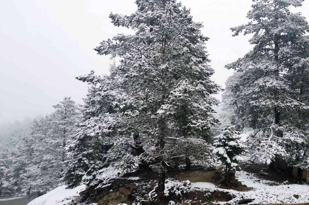 Mayıs ayında beyaza büründü