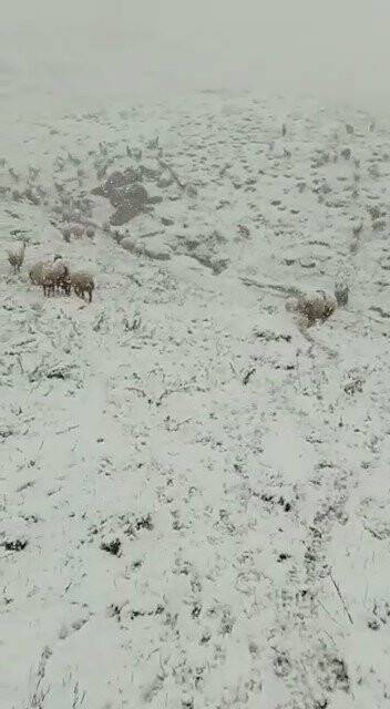 Aniden bastıran kar yağışı Yüksekova’yı beyaza bürüdü