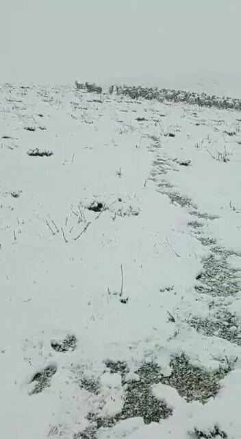 Aniden bastıran kar yağışı Yüksekova’yı beyaza bürüdü