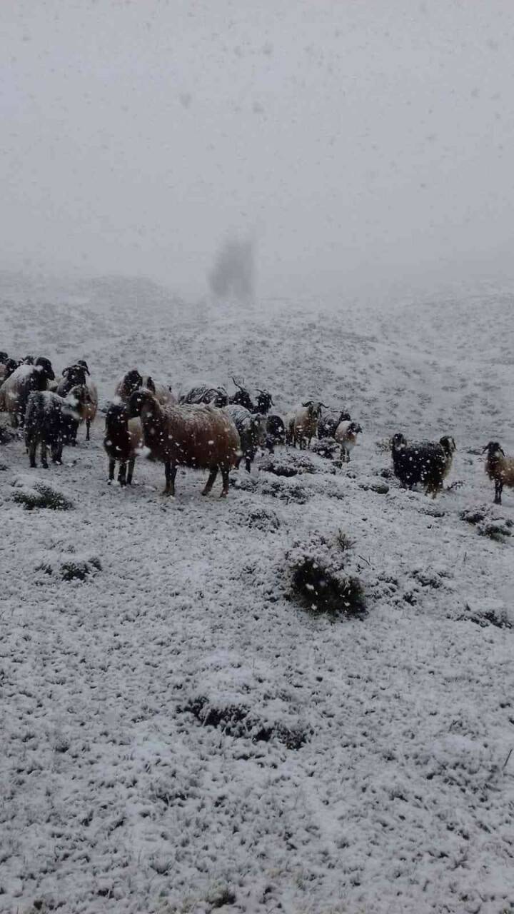 Aniden bastıran kar yağışı Yüksekova’yı beyaza bürüdü