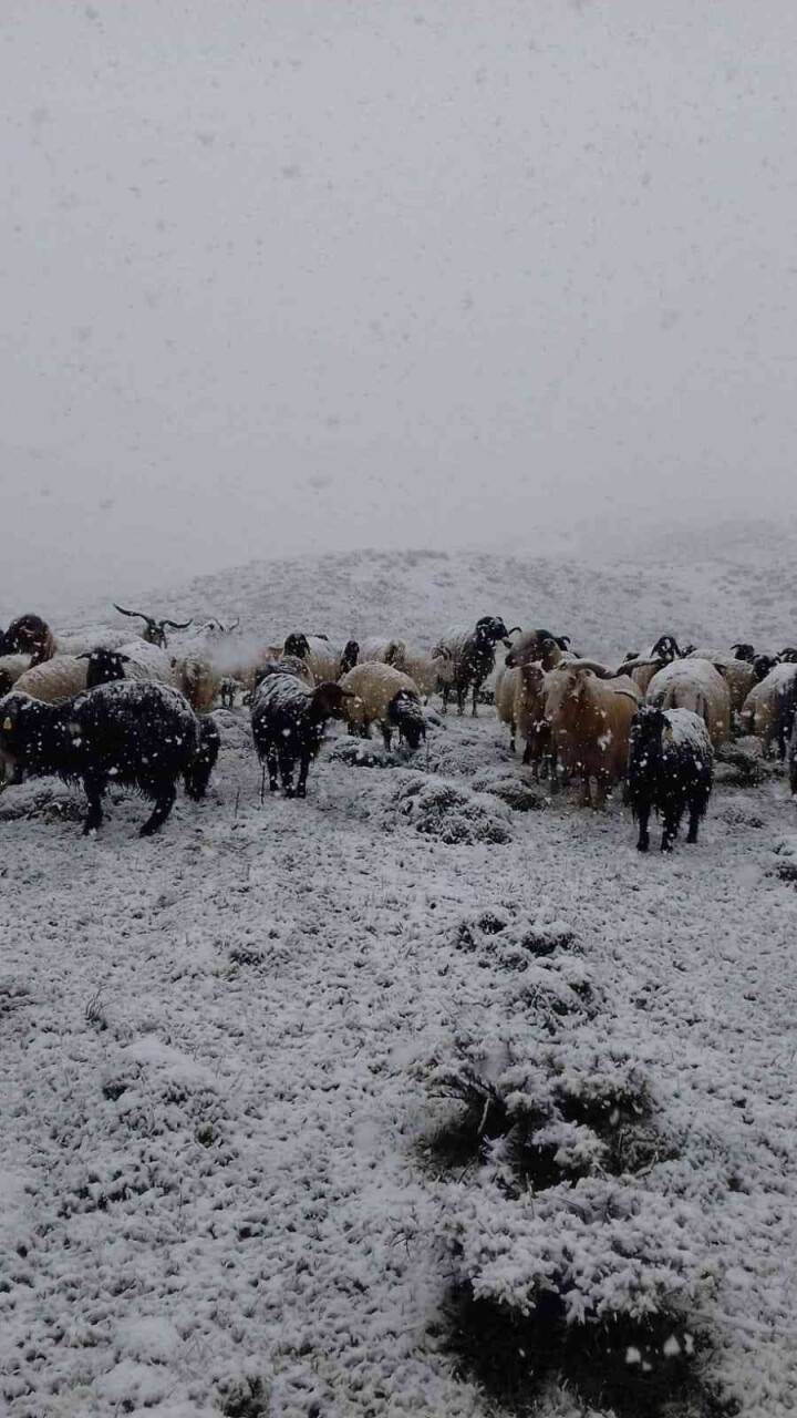 Aniden bastıran kar yağışı Yüksekova’yı beyaza bürüdü